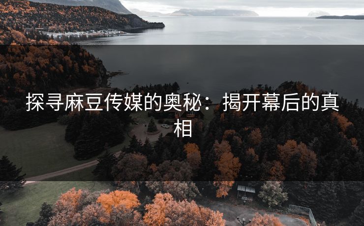 探寻麻豆传媒的奥秘：揭开幕后的真相
