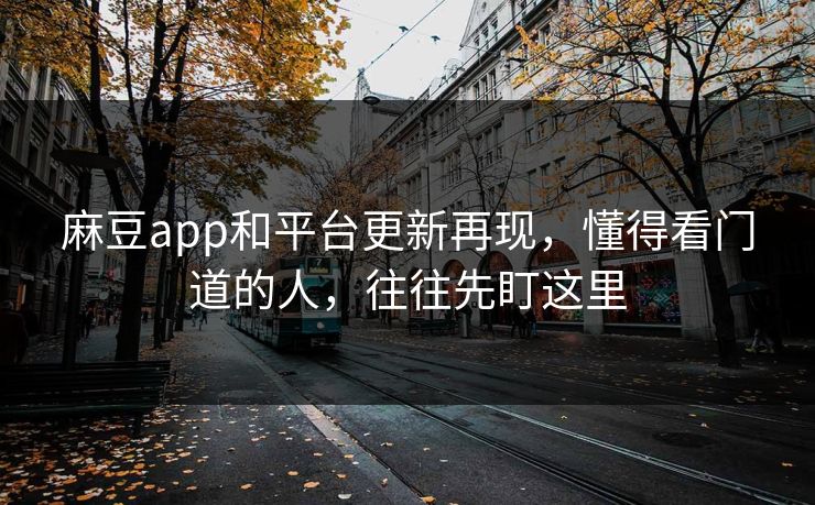 麻豆app和平台更新再现，懂得看门道的人，往往先盯这里