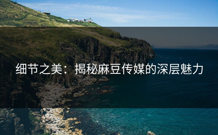 细节之美：揭秘麻豆传媒的深层魅力