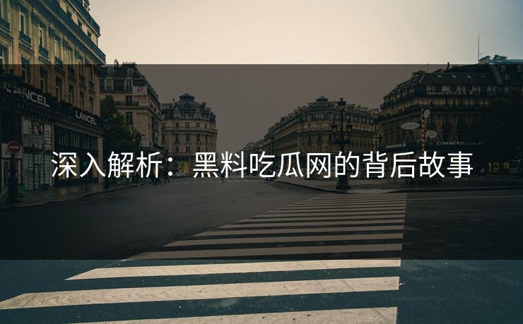 深入解析：黑料吃瓜网的背后故事