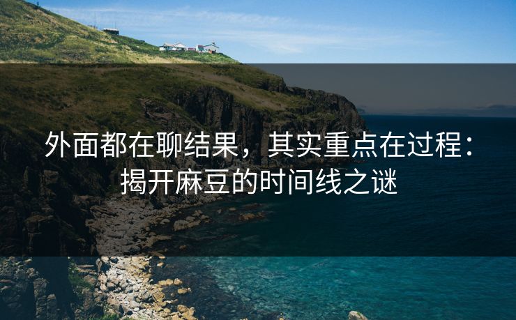 外面都在聊结果，其实重点在过程：揭开麻豆的时间线之谜