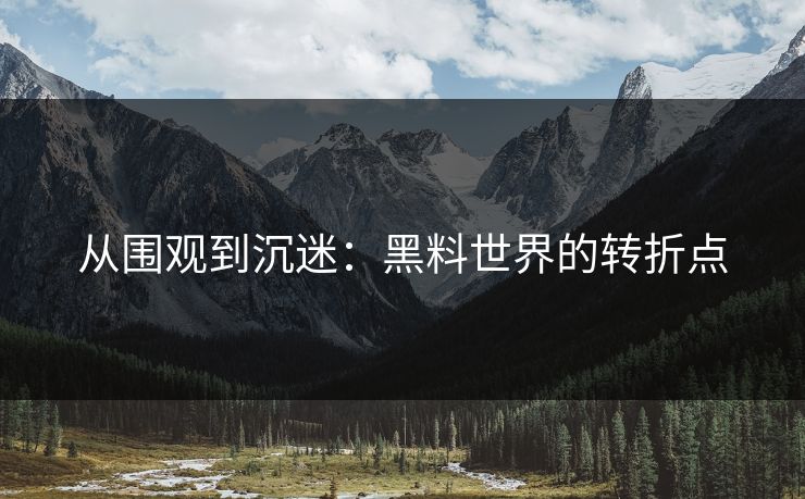 从围观到沉迷:黑料世界的转折点