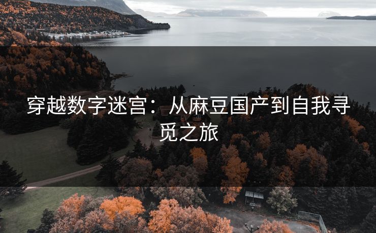 穿越数字迷宫:从麻豆国产到自我寻觅之旅 穿越数字迷宫:从麻豆国产到自我寻觅之旅